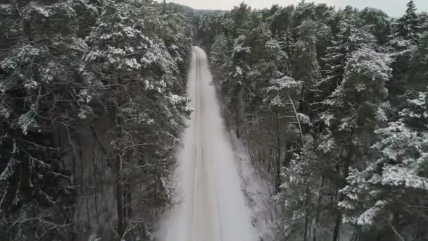 Vista aerea di auto in movimento nella foresta invernale — Video Stock