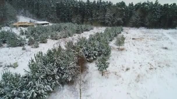 Вид з повітря на зимовий засніжений ліс — стокове відео
