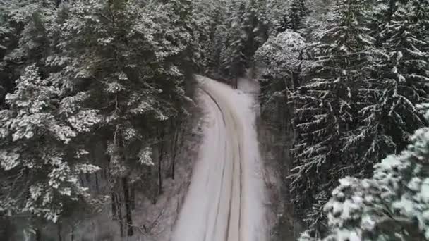 Vista aerea della foresta innevata invernale — Video Stock