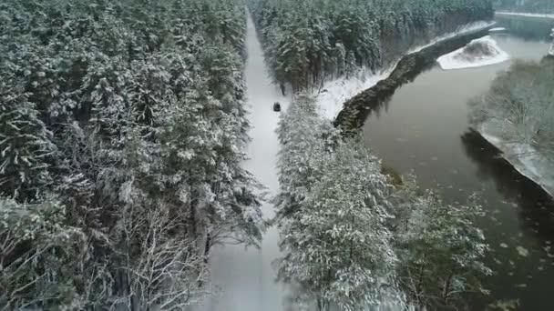 Luchtfoto van auto verplaatsen in winter forest — Stockvideo