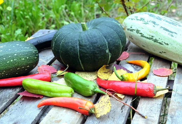 Φθινόπωρο νεκρή φύση με ώριμα λαχανικά — Φωτογραφία Αρχείου