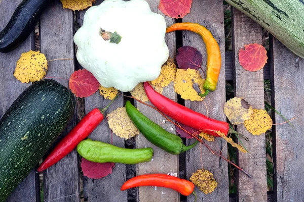 Nature morte d'automne aux légumes mûrs — Photo