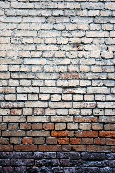 Wall of red bricks front view closeup — Stock Photo, Image