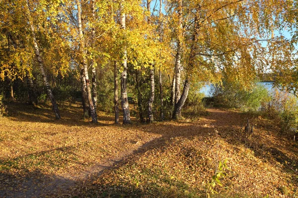 Otoño de oro en el país —  Fotos de Stock