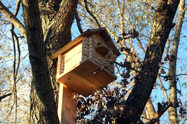 Nya stora trä birdhouse på träd — Stockfoto