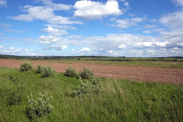 Paisaje natural con campo verde, arado y bosque —  Fotos de Stock