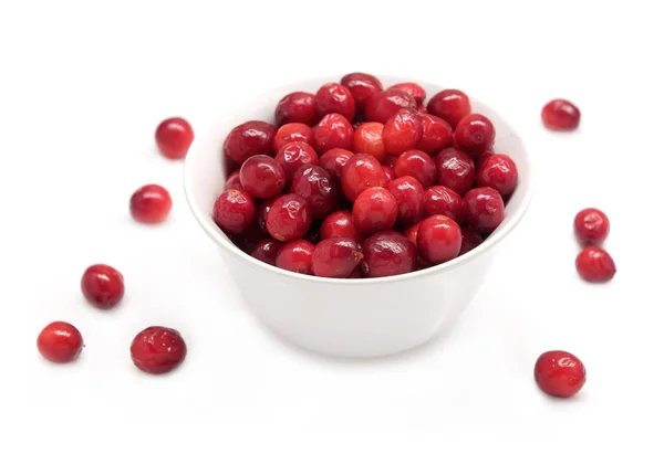 Round white bowl full of cranberries closeup — Stock Photo, Image