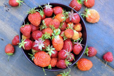 Çok olgun iştah açıcı çilek vintage ahşap masa portre üzerinde yuvarlak kase