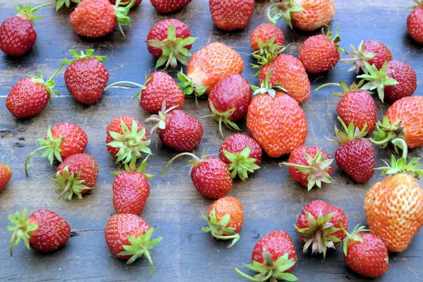 Πολύ ώριμες φράουλες ορεκτικές διάσπαρτα στην παλιά closeup κάτοψη εκλεκτής ποιότητας φόντο ξύλινη — Φωτογραφία Αρχείου