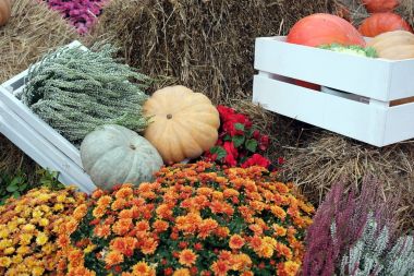 Natürmort çiçek ve saman sonbahar sebze ile çok