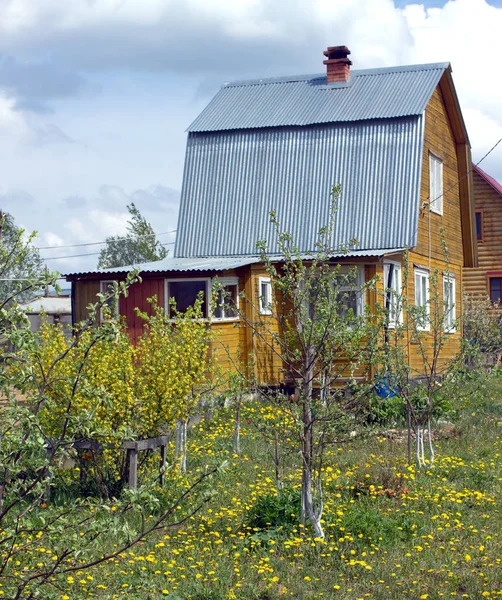 Külvárosi ház, gyep, pitypang sárga festett brouwn — Stock Fotó