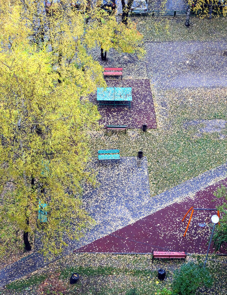 Fall of the leaves in the city park in autumn day, lot of fallen leaves on the ground top view