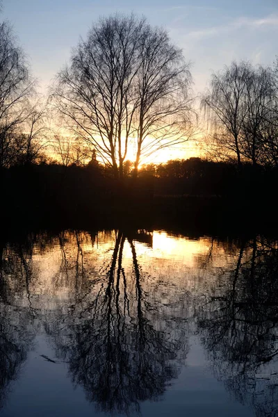 Természeti táj fák közelében egy nyugodt tó naplementekor őszi este sziluettek — Stock Fotó