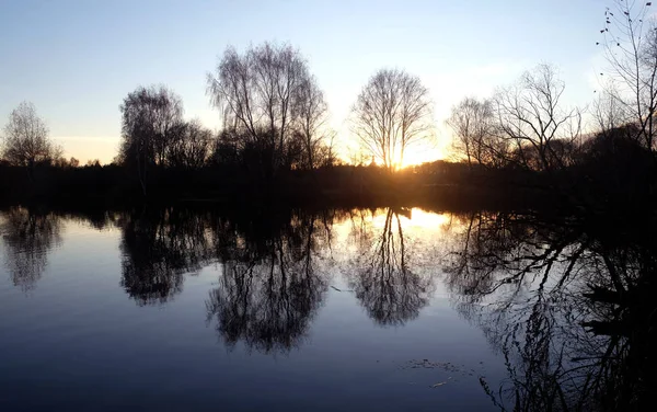 自然景观与树木剪影附近一个平静的湖泊在秋季傍晚日落 — 图库照片