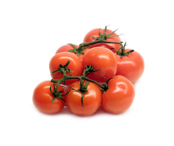 Tomates Mûres Rouges Sur Branche Isolée Sur Fond Blanc Plan — Photo