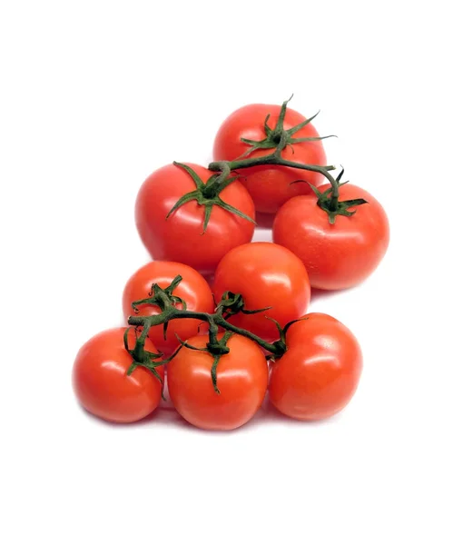 Rote Reife Tomaten Auf Zweig Isoliert Auf Weißem Hintergrund Studio — Stockfoto