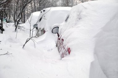 Kış günü şehir sokakta dizilmiş karla kaplı arabalar