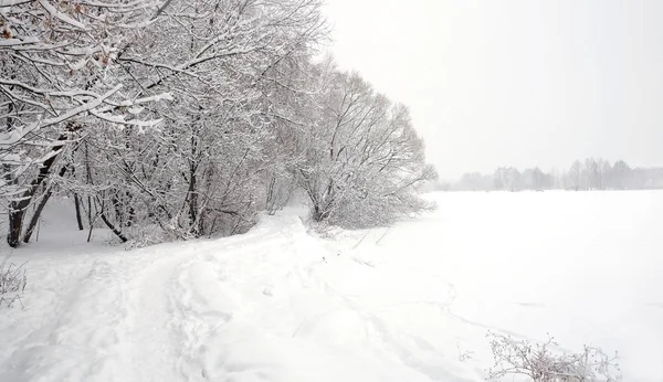 Όμορφο Τοπίο Χιονισμένο Μονοπάτι Στην Άκρη Του Δάσους Και Παγωμένος — Φωτογραφία Αρχείου