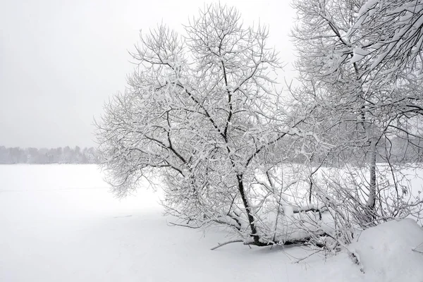 Bela Paisagem Com Caminho Coberto Neve Borda Floresta Rio Congelado — Fotografia de Stock