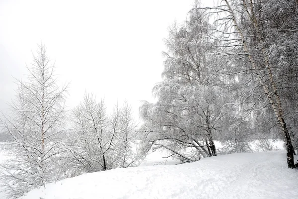 Bela Paisagem Com Caminho Coberto Neve Borda Floresta Rio Congelado — Fotografia de Stock