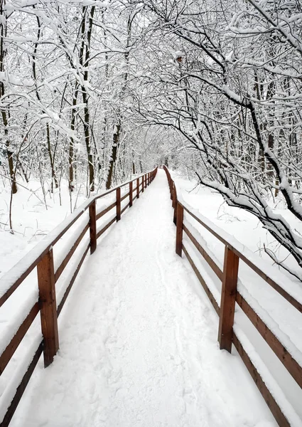 Όμορφο Τοπίο Ένα Χιόνι Καλυμμένο Μονοπάτι Ξύλινους Φράχτες Στο Χειμερινό — Φωτογραφία Αρχείου