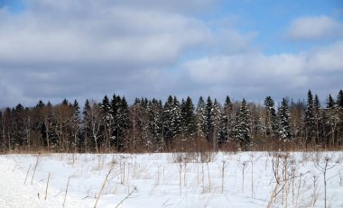 Bir soğuk güneşli kış günü beyaz bulutlar yatay panoramik manzaralı mavi gökyüzü altında karla kaplı bir alanda arkasında iğne yapraklı orman ile kırsal manzara