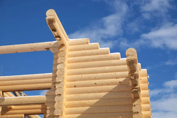 Stora Lantliga Hus Konstruktion Från Sandstranden Brun Slät Berusande Pine — Stockfoto