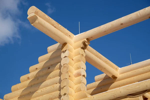 Stora Lantliga Hus Konstruktion Från Sandstranden Brun Slät Berusande Pine — Stockfoto