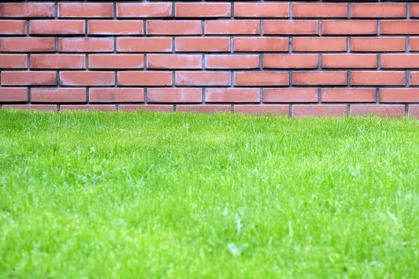 Part Red Brick Wall Green Grass Lawn City Park Spring — Stock Photo, Image
