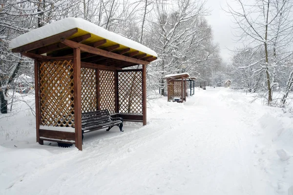 Winterlandschap Met Wandelpad Het Besneeuwde Park Bankjes Het Tuinhuis Voor — Stockfoto