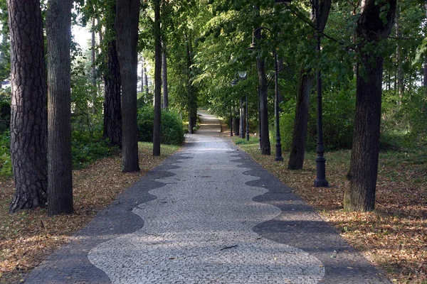 Beautiful landscape with ahead stone walk path in Jurmala park area forest in the autumn day