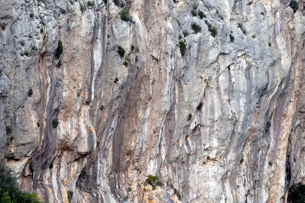 Vertikal Klippa Med Dålig Bergsvegetation Närbild — Stockfoto