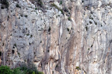 Düşük dağ bitkisi manzaralı eski dikey zapt edilemez uçurumlar