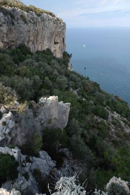 Yüksek zaptedilemez plato, tepesinde dağ bitkileri güneşli bir günde ufuk çizgisi üzerinde sakin deniz manzarası.