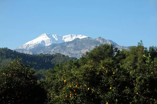 Hermoso Paisaje Con Montañas Turcas Diferentes Alturas Con Altos Picos —  Fotos de Stock