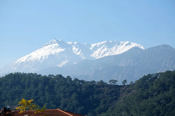 Paisaje Panorámico Con Montañas Turcas Diferentes Alturas Pinos Montaña Las — Foto de Stock