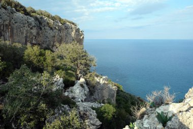 High impregnable plateau with mountain vegetation on top and slopes and calm sea far and down on skyline on sunny day view