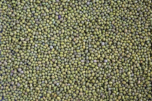 Lebensmittelvorräte Ernte Vieler Trockener Grüner Linsenkörner Auf Flacher Oberfläche Als — Stockfoto