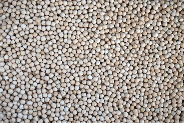 Food Supplies Crop Many Dry Beige Lentil Grains Flat Surface — Stock Photo, Image