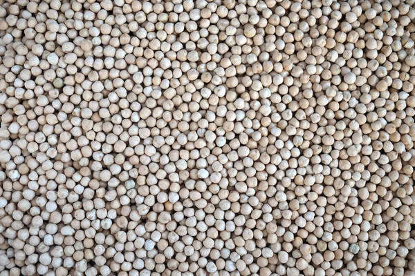 Food Supplies Crop Many Dry Beige Lentil Grains Flat Surface Royalty Free Stock Photos