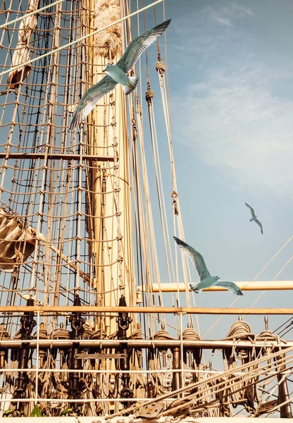 Nautical tackles and equipment of an ancient sail ship with flying seagulls over. Rigging ropes and and rope ladders on the masts of sailing vessel for your sea adventures concept.