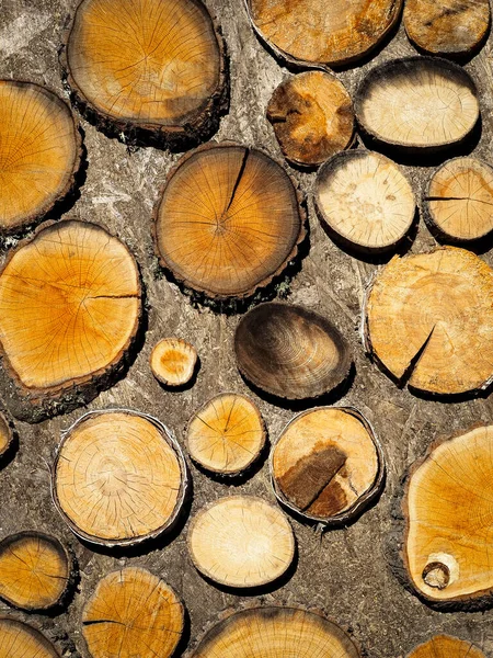 Abstrakter Holzhintergrund Mit Runden Holzscheiben Natürliche Tapete Mit Brennholzstruktur Holzstapel Stockbild