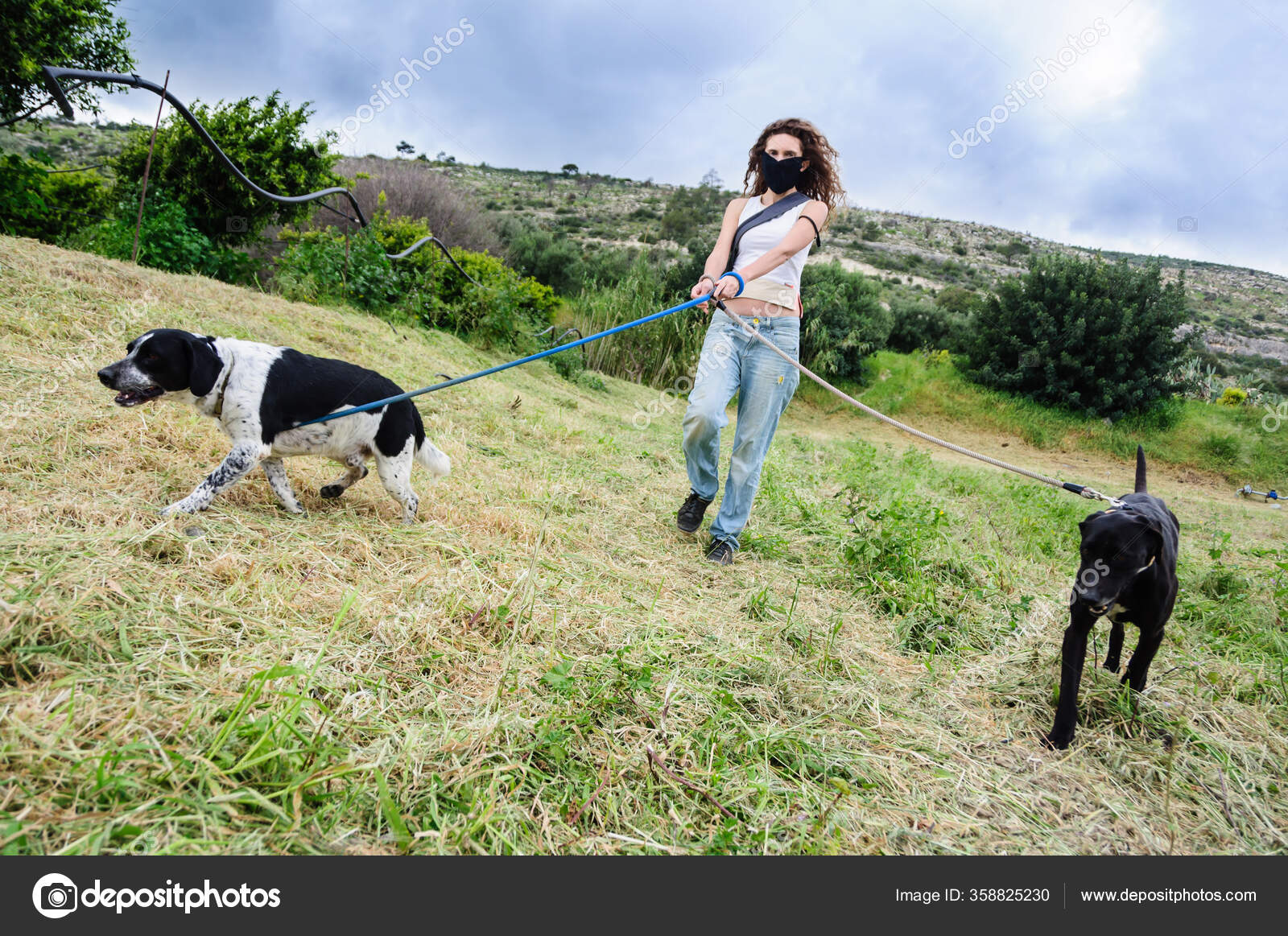 Do Dogs Have To Be Quarantined In Spain