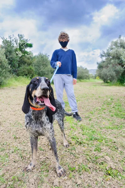 Coronavirus Kilitlendi Yüzü Maskeli Bir Genç Köpeğini Koronavirüs Sırasında Yürüyüşe - Stok İmaj