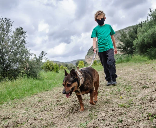 科罗纳维勒斯封锁 戴面具的男孩带着他的狗在验尸官和宠物散步 地中海地区的检疫 意大利 西班牙 塞浦路斯 图库照片