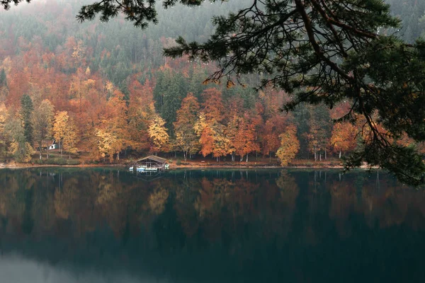 Panoramic view of scenic idyllic autumn landscape in the lake Alpsee — Stock Photo, Image