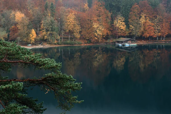 Panoramic view of scenic idyllic autumn landscape in the lake Alpsee — Stock Photo, Image