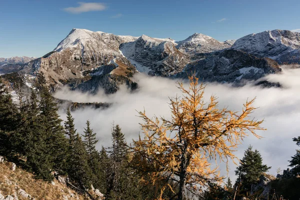 Jenner dağda, Berchtesgaden, Almanya görüntülemek