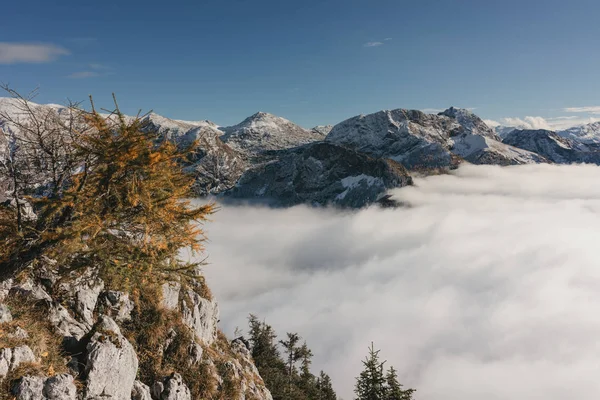 View from on Jenner mountain, Berchtesgaden, Germany — Stock Photo, Image
