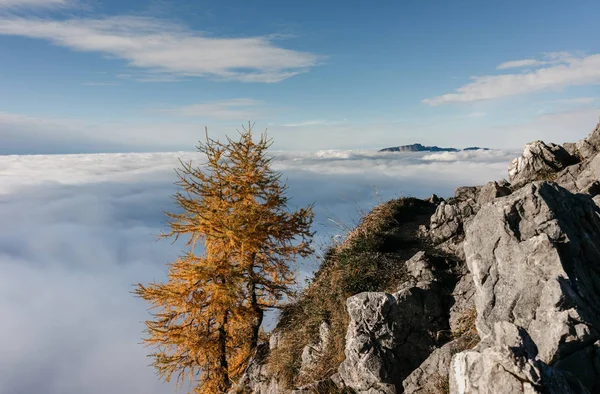 Vue de la montagne Jenner, Berchtesgaden, Allemagne — Photo